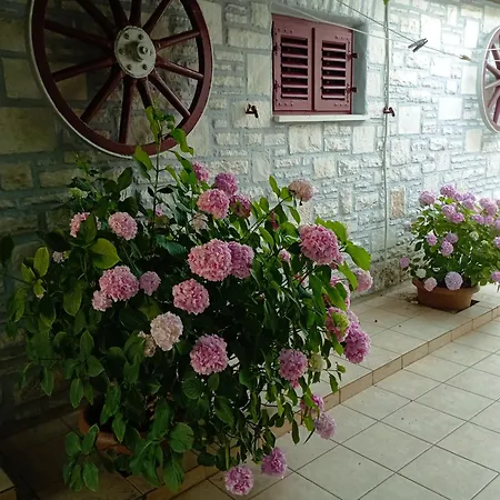 Apartment Sunce