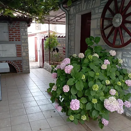 Appartement Sunce Umag